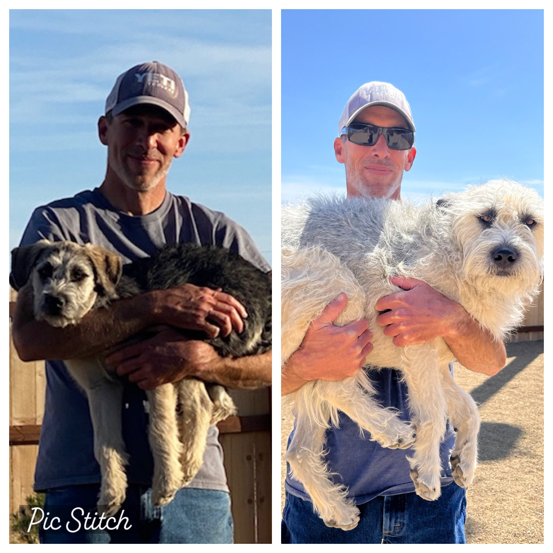 split screen man holding dog